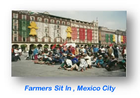Farmers Sit In , Mexico City
