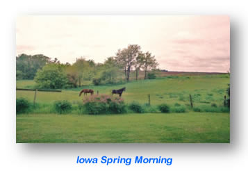 Iowa Spring Morning